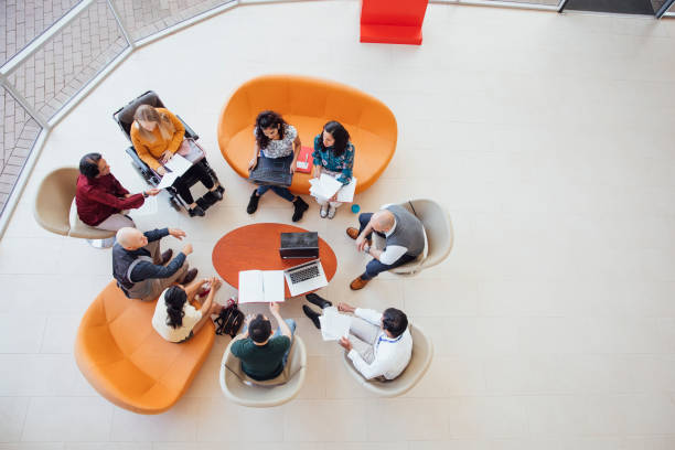 A birds-eye view of an academic group meeting in natural light with bright furniture.